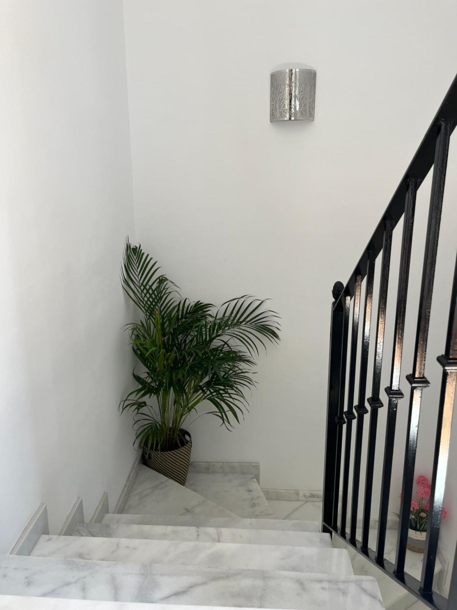 La Escapadita Benaoján Exterior foto